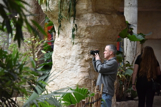 Filename=DSC_0221.JPG
Filesize=21158KiB
Dimensions=7360x4912
Date added=Sep 27, 2019 DSC_0221.JPG