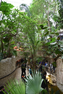 Filename=DSC_0222.JPG
Filesize=21460KiB
Dimensions=4912x7360
Date added=Sep 27, 2019 DSC_0222.JPG