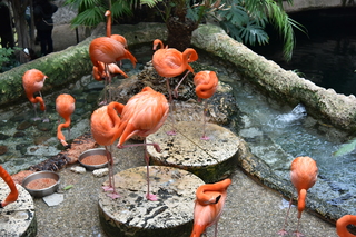 Filename=DSC_0224.JPG
Filesize=20199KiB
Dimensions=7360x4912
Date added=Sep 27, 2019 DSC_0224.JPG