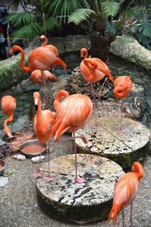 Filename=DSC_0225.JPG
Filesize=17586KiB
Dimensions=4912x7360
Date added=Sep 27, 2019 DSC_0225.JPG