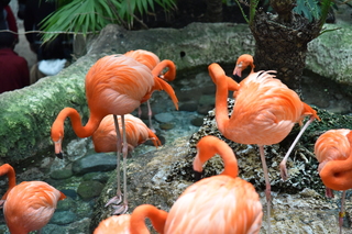 Filename=DSC_0227.JPG
Filesize=20503KiB
Dimensions=7360x4912
Date added=Sep 27, 2019 DSC_0227.JPG