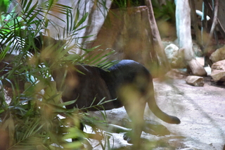 Filename=DSC_0231.JPG
Filesize=22152KiB
Dimensions=7360x4912
Date added=Sep 27, 2019 DSC_0231.JPG