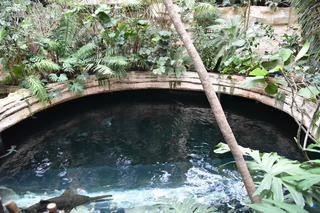 Filename=DSC_0242.JPG
Filesize=22602KiB
Dimensions=7360x4912
Date added=Sep 27, 2019 DSC_0242.JPG