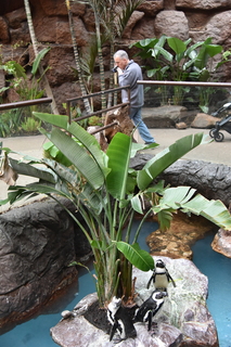 Filename=DSC_0250.JPG
Filesize=18689KiB
Dimensions=4912x7360
Date added=Sep 27, 2019 DSC_0250.JPG