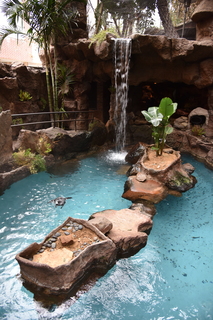 Filename=DSC_0256.JPG
Filesize=18188KiB
Dimensions=4912x7360
Date added=Sep 27, 2019 DSC_0256.JPG