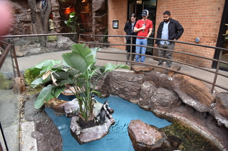 Filename=DSC_0264.JPG
Filesize=21548KiB
Dimensions=7360x4912
Date added=Sep 27, 2019 DSC_0264.JPG