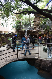 Filename=DSC_0268.JPG
Filesize=18031KiB
Dimensions=4912x7360
Date added=Sep 27, 2019 DSC_0268.JPG