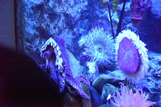 Filename=DSC_0282.JPG
Filesize=28911KiB
Dimensions=7360x4912
Date added=Sep 27, 2019 DSC_0282.JPG