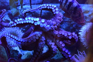 Filename=DSC_0285.JPG
Filesize=28036KiB
Dimensions=7360x4912
Date added=Sep 27, 2019 DSC_0285.JPG