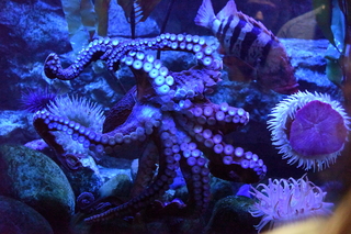 Filename=DSC_0287.JPG
Filesize=26992KiB
Dimensions=7360x4912
Date added=Sep 27, 2019 DSC_0287.JPG