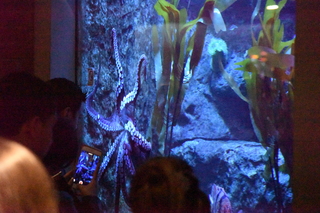 Filename=DSC_0289.JPG
Filesize=29171KiB
Dimensions=7360x4912
Date added=Sep 27, 2019 DSC_0289.JPG