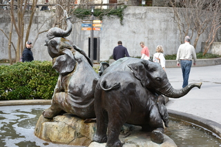 Filename=DSC_0325.JPG
Filesize=19033KiB
Dimensions=7360x4912
Date added=Sep 27, 2019 DSC_0325.JPG