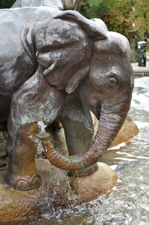 Filename=DSC_0327.JPG
Filesize=17896KiB
Dimensions=4912x7360
Date added=Sep 27, 2019 DSC_0327.JPG