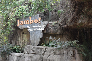 Filename=DSC_0329.JPG
Filesize=24924KiB
Dimensions=7360x4912
Date added=Sep 27, 2019 DSC_0329.JPG