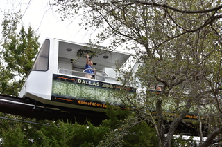 Filename=DSC_0339.JPG
Filesize=20445KiB
Dimensions=7360x4912
Date added=Sep 27, 2019 DSC_0339.JPG