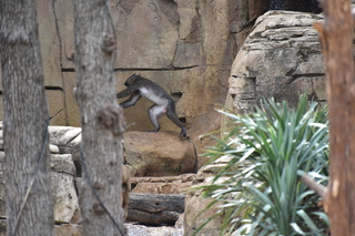 Filename=DSC_0344.JPG
Filesize=19866KiB
Dimensions=7360x4912
Date added=Sep 27, 2019 DSC_0344.JPG