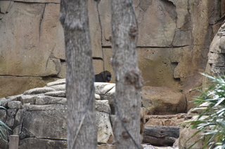 Filename=DSC_0345.JPG
Filesize=20154KiB
Dimensions=7360x4912
Date added=Sep 27, 2019 DSC_0345.JPG