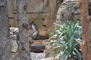 Filename=DSC_0347.JPG
Filesize=19633KiB
Dimensions=7360x4912
Date added=Sep 27, 2019 DSC_0347.JPG