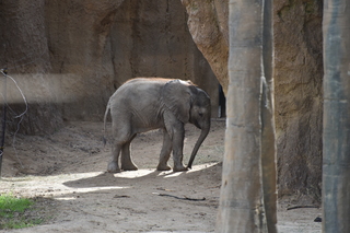 Filename=DSC_0354.JPG
Filesize=19606KiB
Dimensions=7360x4912
Date added=Sep 27, 2019 DSC_0354.JPG