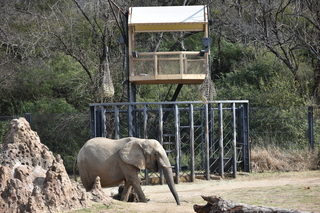 Filename=DSC_0364.JPG
Filesize=27817KiB
Dimensions=7360x4912
Date added=Sep 27, 2019 DSC_0364.JPG