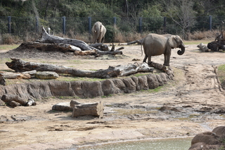 Filename=DSC_0376.JPG
Filesize=29346KiB
Dimensions=7360x4912
Date added=Sep 27, 2019 DSC_0376.JPG