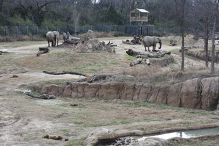 Filename=DSC_0377.JPG
Filesize=24527KiB
Dimensions=7360x4912
Date added=Sep 27, 2019 DSC_0377.JPG