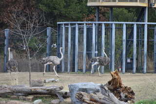 Filename=DSC_0387.JPG
Filesize=22362KiB
Dimensions=7360x4912
Date added=Sep 27, 2019 DSC_0387.JPG