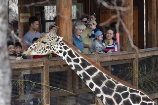 Filename=DSC_0426.JPG
Filesize=19865KiB
Dimensions=7360x4912
Date added=Sep 27, 2019 DSC_0426.JPG