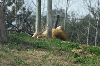 Filename=DSC_0446.JPG
Filesize=17574KiB
Dimensions=7360x4912
Date added=Sep 27, 2019 DSC_0446.JPG