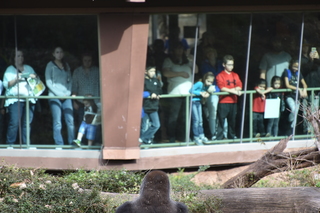 Filename=DSC_0626.JPG
Filesize=17411KiB
Dimensions=7360x4912
Date added=Sep 27, 2019 DSC_0626.JPG