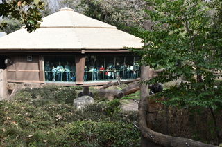 Filename=DSC_0627.JPG
Filesize=24844KiB
Dimensions=7360x4912
Date added=Sep 27, 2019 DSC_0627.JPG