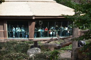 Filename=DSC_0628.JPG
Filesize=22957KiB
Dimensions=7360x4912
Date added=Sep 27, 2019 DSC_0628.JPG