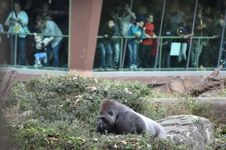 Filename=DSC_0631.JPG
Filesize=19616KiB
Dimensions=7360x4912
Date added=Sep 27, 2019 DSC_0631.JPG