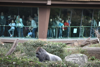 Filename=DSC_0634.JPG
Filesize=19731KiB
Dimensions=7360x4912
Date added=Sep 27, 2019 DSC_0634.JPG