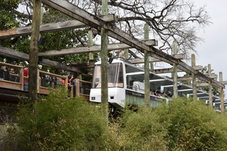 Filename=DSC_0638.JPG
Filesize=26431KiB
Dimensions=7360x4912
Date added=Sep 27, 2019 DSC_0638.JPG