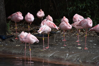 Filename=DSC_0640.JPG
Filesize=16963KiB
Dimensions=7360x4912
Date added=Sep 27, 2019 DSC_0640.JPG