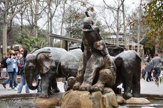 Filename=DSC_0645.JPG
Filesize=20311KiB
Dimensions=7360x4912
Date added=Sep 27, 2019 DSC_0645.JPG