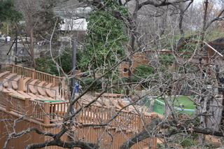 Filename=DSC_0651.JPG
Filesize=26052KiB
Dimensions=7360x4912
Date added=Sep 27, 2019 DSC_0651.JPG