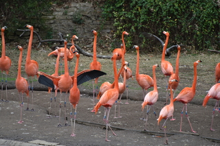 Filename=DSC_0655.JPG
Filesize=19866KiB
Dimensions=7360x4912
Date added=Sep 27, 2019 DSC_0655.JPG