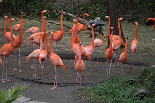 Filename=DSC_0664.JPG
Filesize=19743KiB
Dimensions=7360x4912
Date added=Sep 27, 2019 DSC_0664.JPG