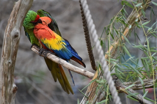 Filename=DSC_0709.JPG
Filesize=17778KiB
Dimensions=7360x4912
Date added=Sep 27, 2019 DSC_0709.JPG