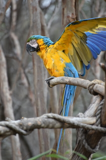 Filename=DSC_0711.JPG
Filesize=14591KiB
Dimensions=4912x7360
Date added=Sep 27, 2019 DSC_0711.JPG