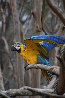 Filename=DSC_0712.JPG
Filesize=14133KiB
Dimensions=4912x7360
Date added=Sep 27, 2019 DSC_0712.JPG