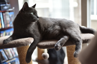 Filename=DSC_0717.JPG
Filesize=15699KiB
Dimensions=7360x4912
Date added=Sep 27, 2019 DSC_0717.JPG