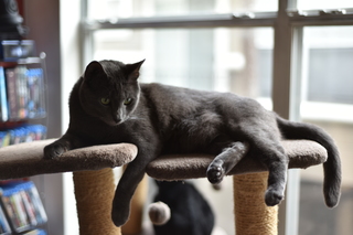 Filename=DSC_0719.JPG
Filesize=15101KiB
Dimensions=7360x4912
Date added=Sep 27, 2019 DSC_0719.JPG