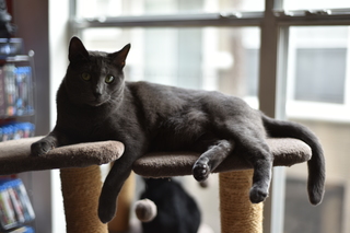 Filename=DSC_0720.JPG
Filesize=14841KiB
Dimensions=7360x4912
Date added=Sep 27, 2019 DSC_0720.JPG