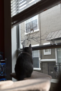 Filename=DSC_0726.JPG
Filesize=12990KiB
Dimensions=4912x7360
Date added=Sep 27, 2019 DSC_0726.JPG