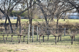 Filename=DSC_0775.JPG
Filesize=27588KiB
Dimensions=7360x4912
Date added=Sep 27, 2019 DSC_0775.JPG