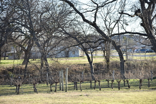 Filename=DSC_0777.JPG
Filesize=27116KiB
Dimensions=7360x4912
Date added=Sep 27, 2019 DSC_0777.JPG