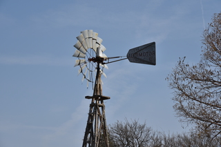 Filename=DSC_0795.JPG
Filesize=17786KiB
Dimensions=7360x4912
Date added=Sep 27, 2019 DSC_0795.JPG